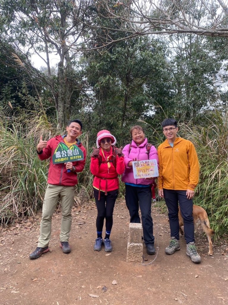 鵝公髻山（小百岳）鵝公髻山東北峰_2449846