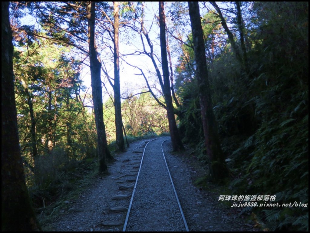 漫步太平山見晴懷古步道_507311