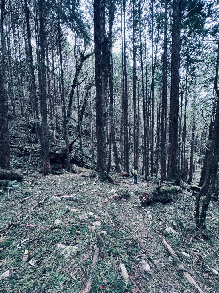 松鶴上八仙_2653189