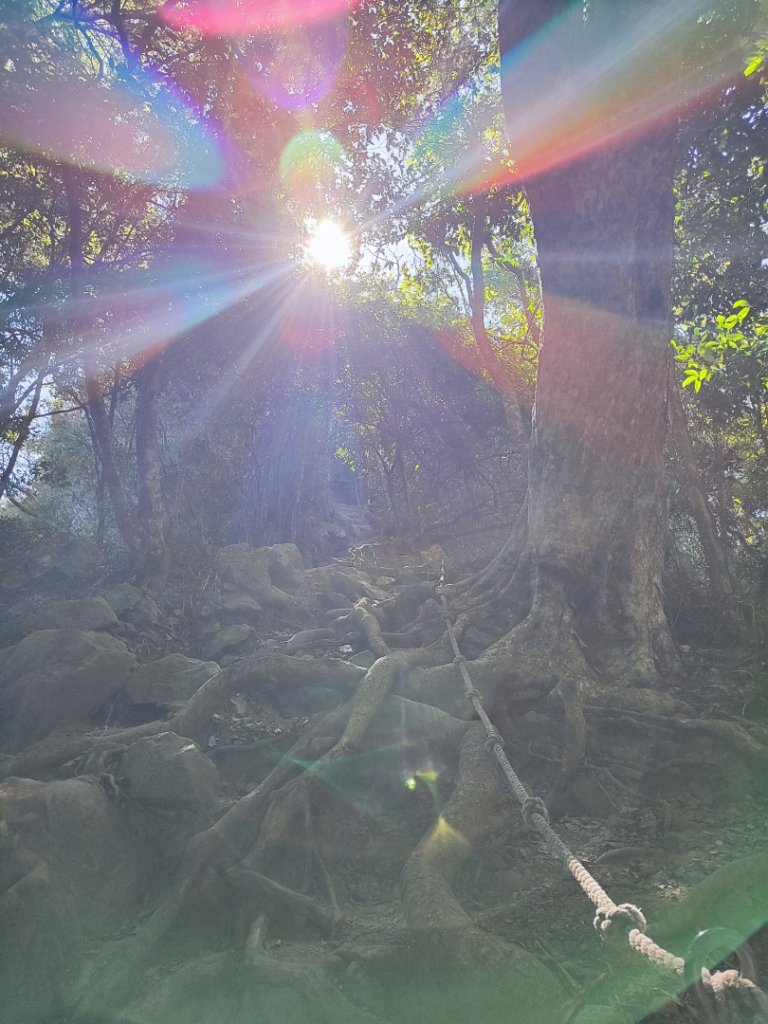 谷關老六白毛山_2690352