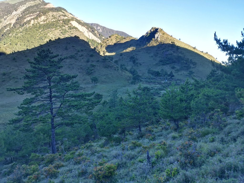 2022-07-21八大秀_1789392