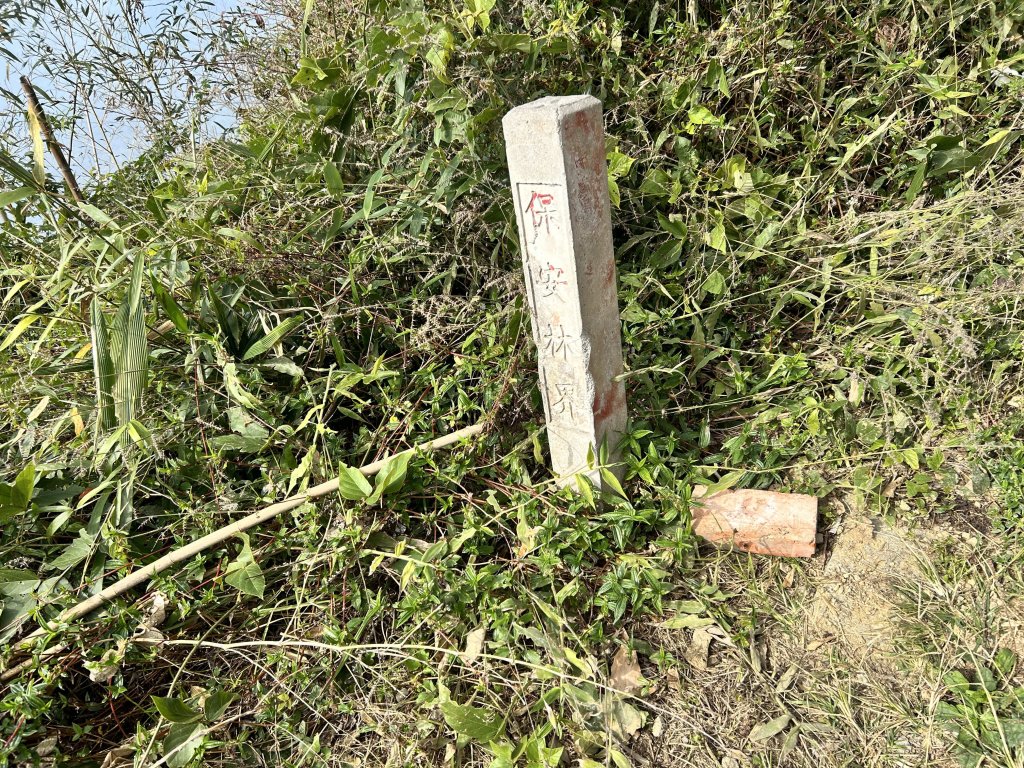 二延平步道_2969808