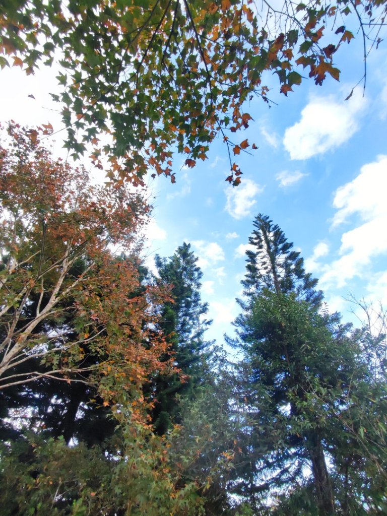 馬那邦山_2666859