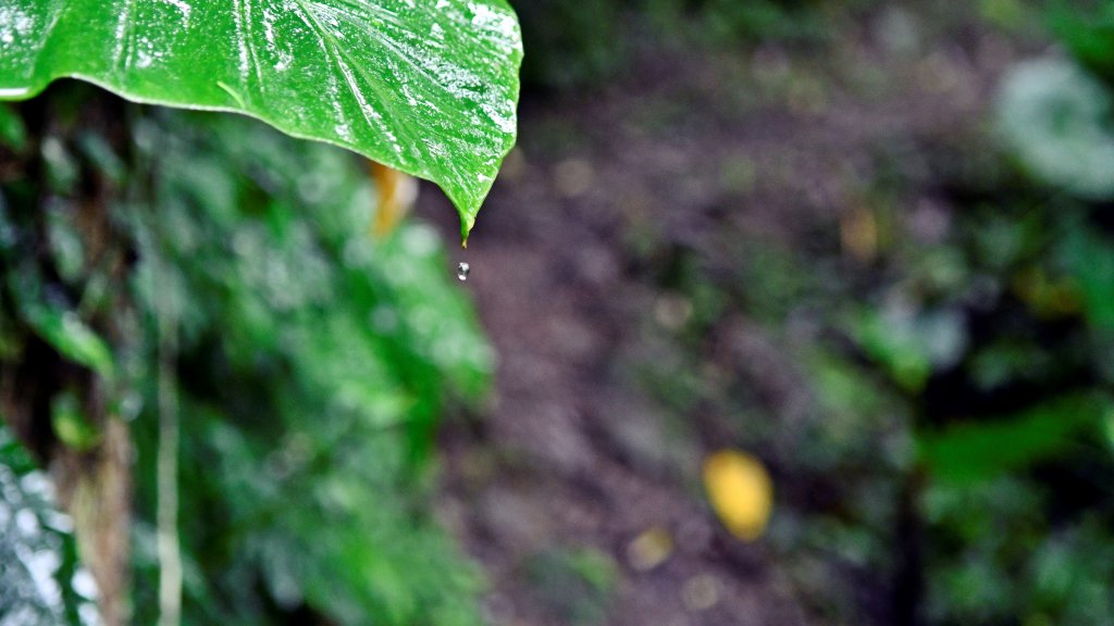 淡蘭古道中路（闊瀨崩山坑環線）_989146