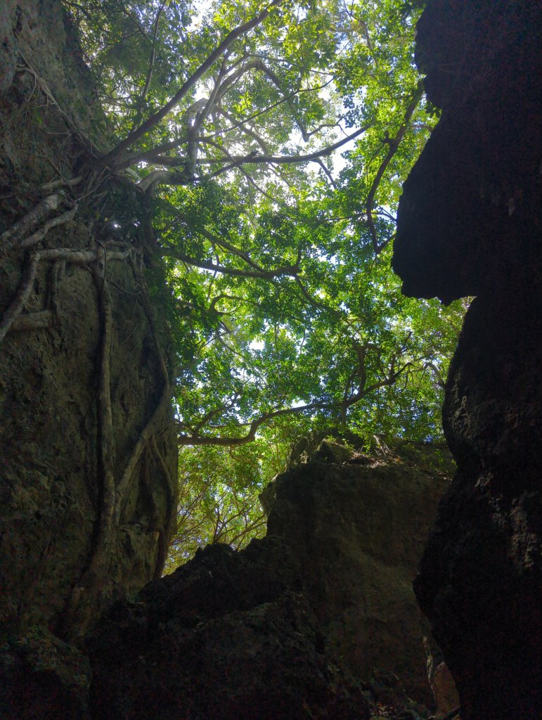 2024.06.09－墾丁國家公園_2523829