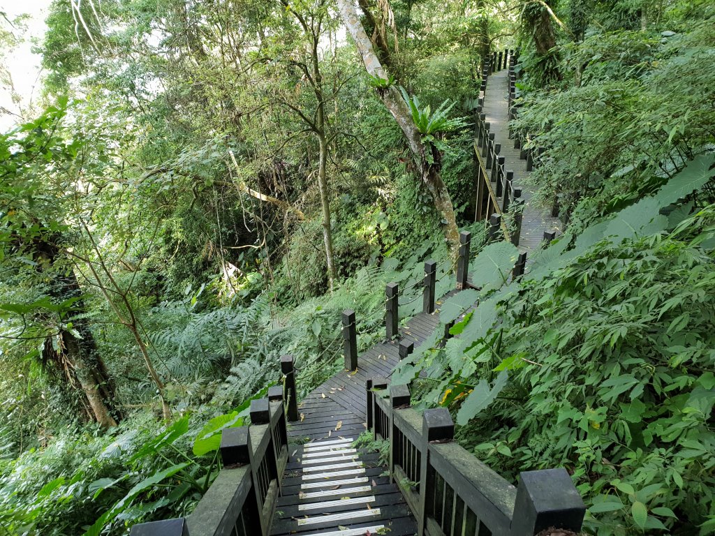 五指山橫向步道、猴洞一線天、仙洞步道_1572929