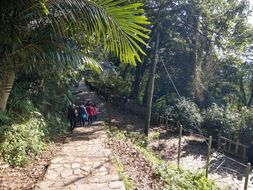 新竹飛鳳山(中坑山)小百岳_880211
