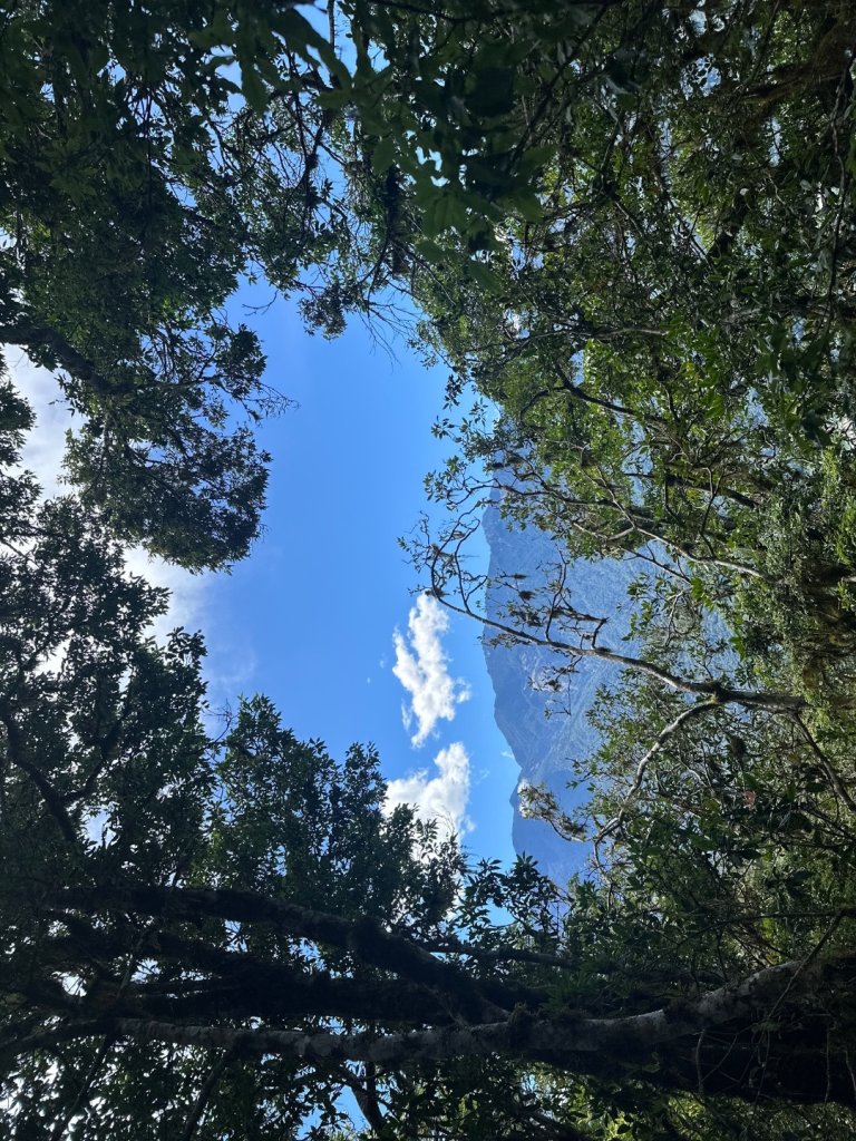 佐米縱走_2873418