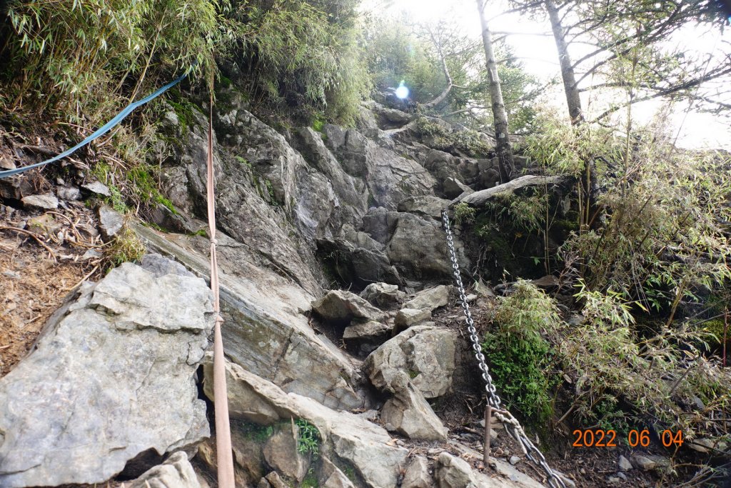 嘉義 阿里山 玉山前峰_1731153