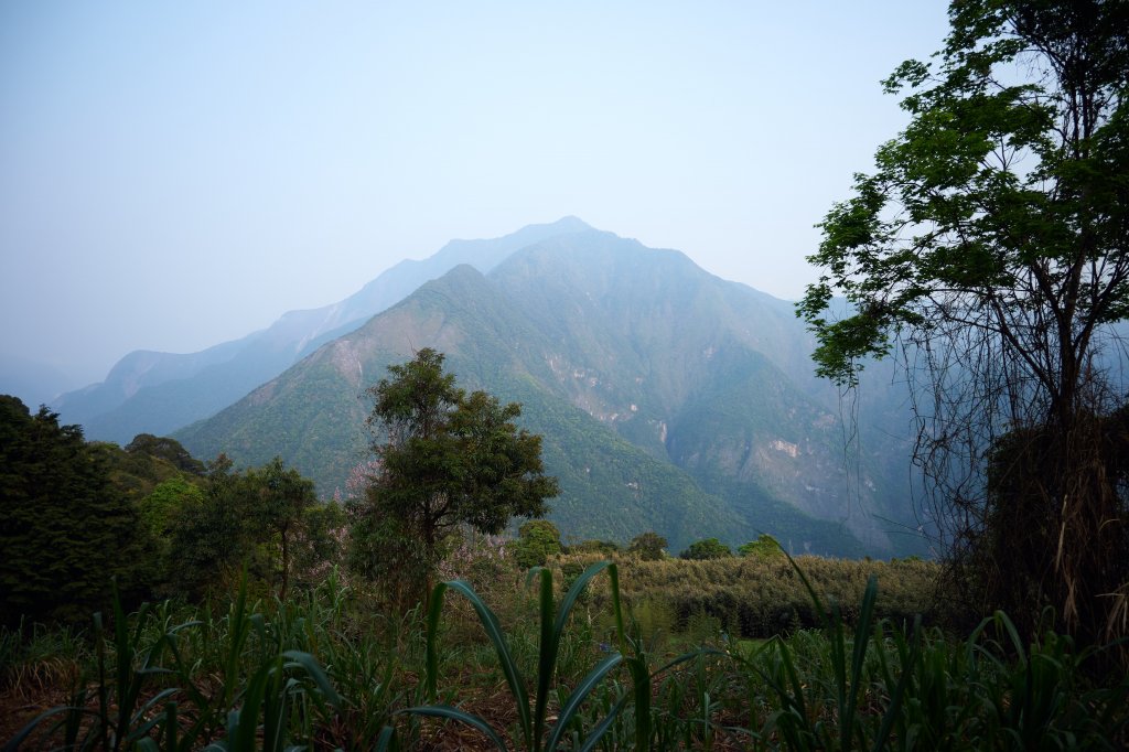 兩日立霧山觀景台(日出行程)_2114852