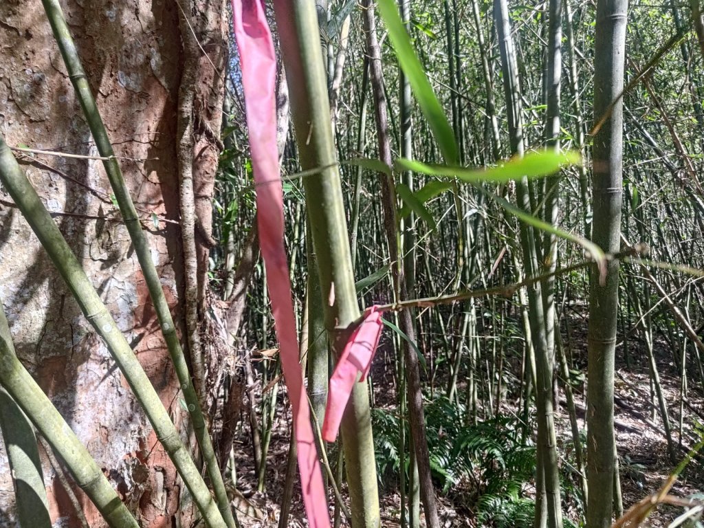 幾阿佐名山_2664491
