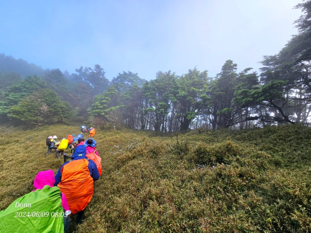 中央山脈大縱走南一段+庫哈諾辛山(雨訓)_2525733