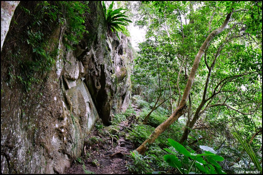 大溪。白石山 訪 艷紅鹿子百合_396262