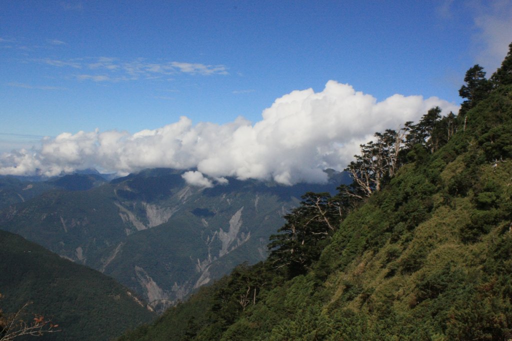 2023探索關山嶺山聚焦雲霧世界_2344038