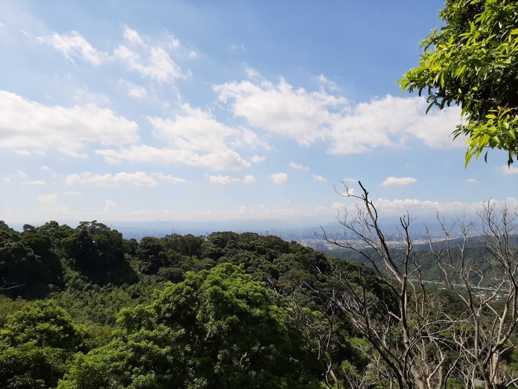 觀音山尋寶之林梢 楓櫃斗湖 福隆山 尖山_1031524