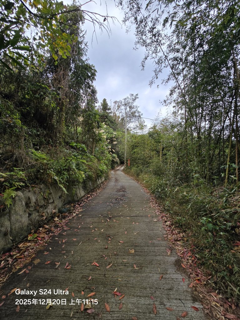 2025-12-20橫龍古道_2967577