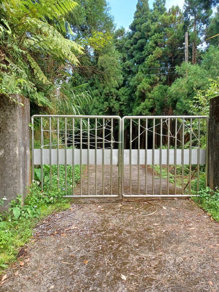 【新竹五峰】迷霧山林。 民都有山登山步道(面托油山)x民都有山北峰_2991860