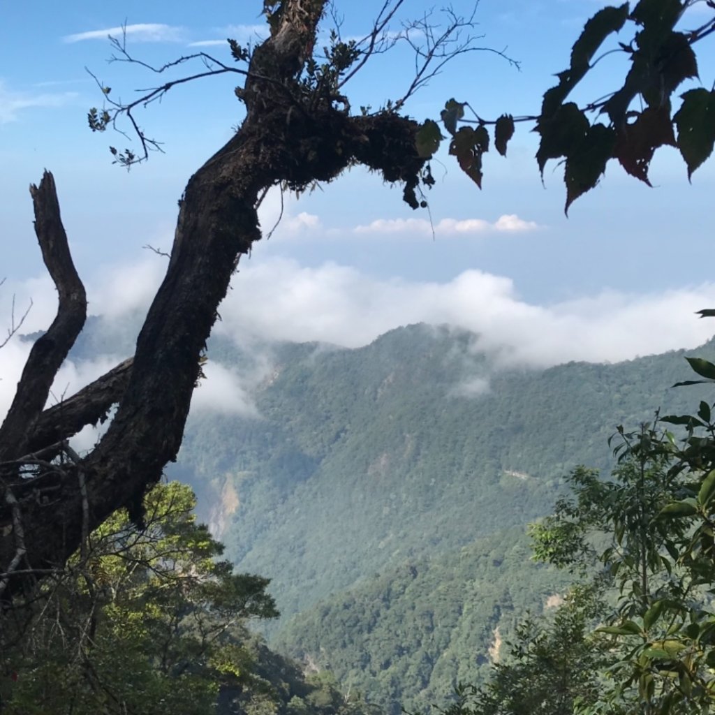 稍來南峰上稍來山遠看鳶嘴山封面圖