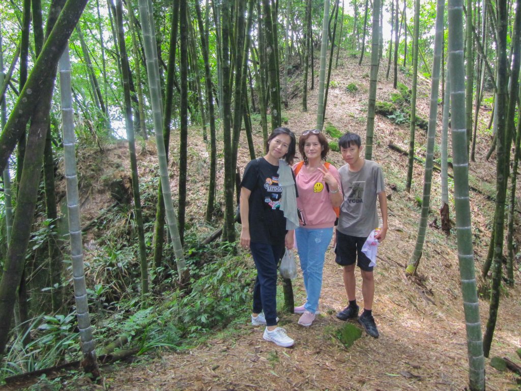 竹崎九連環天王風華再現~雲嘉連峰2.0版_1106626