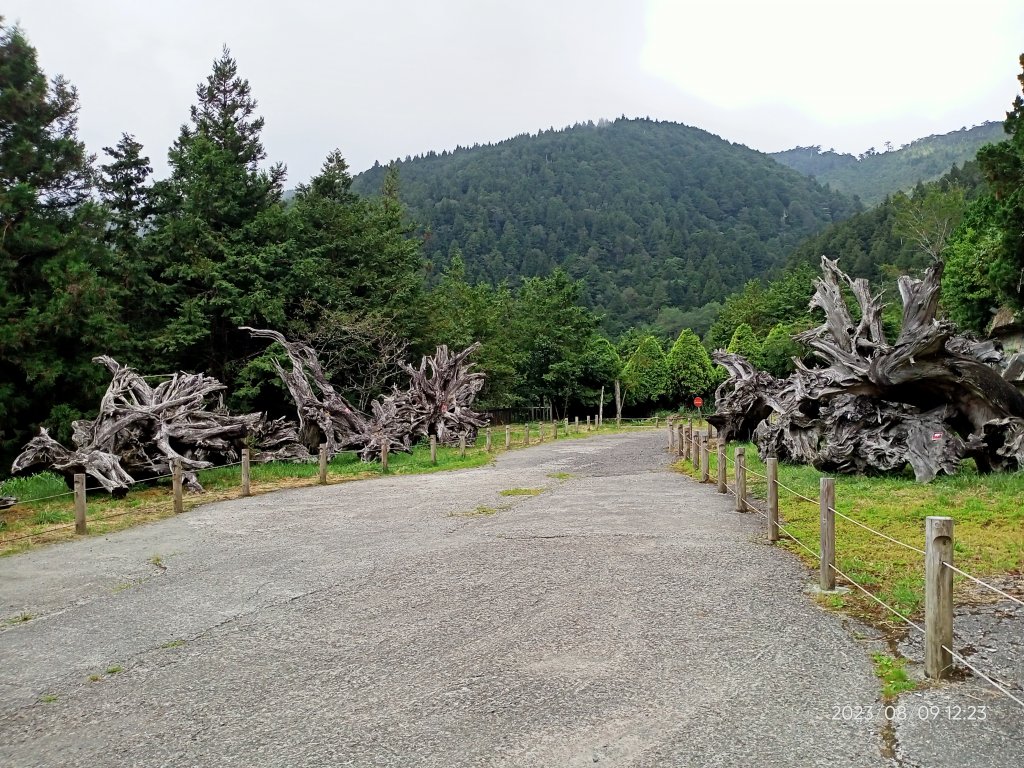 宜蘭太平山國家森林遊樂區 - 見晴懷古步道、檜木原始林步道（2-1 至蹦蹦車站）【台灣百大必訪步道】_2245202