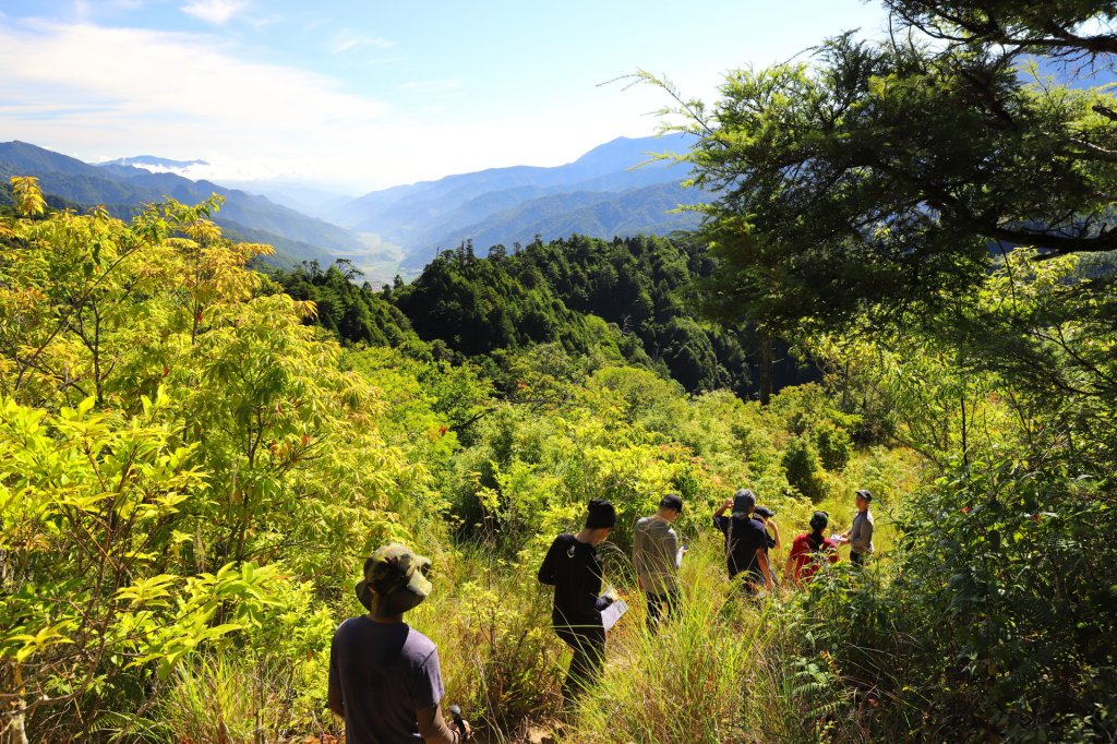 有百岳景色的中級山 羅馬縱走_1034589