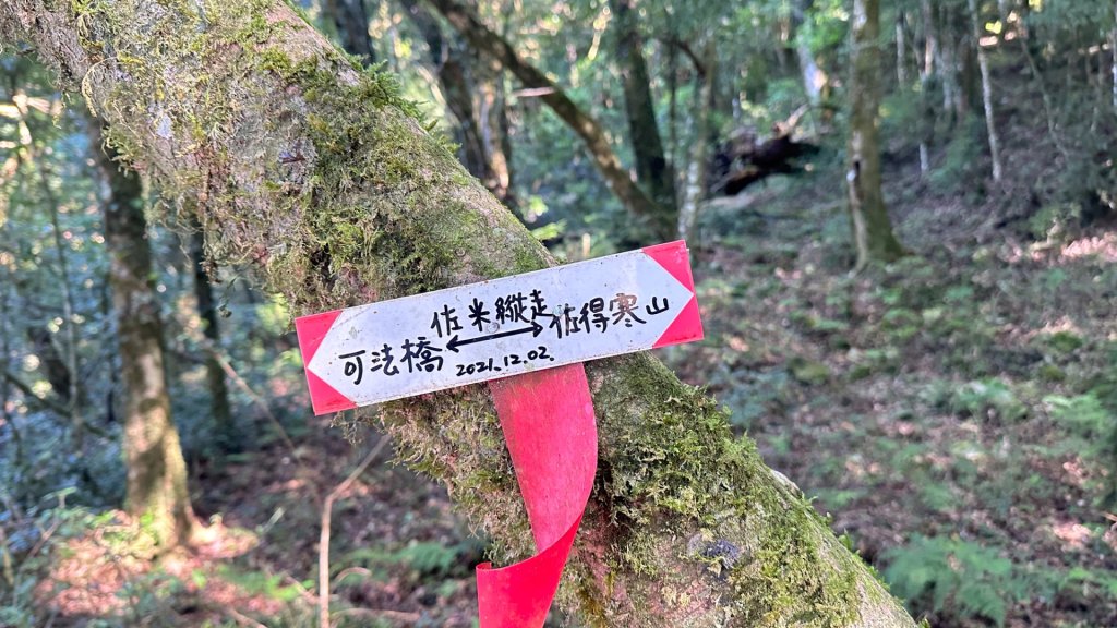 佐米縱走_2873406