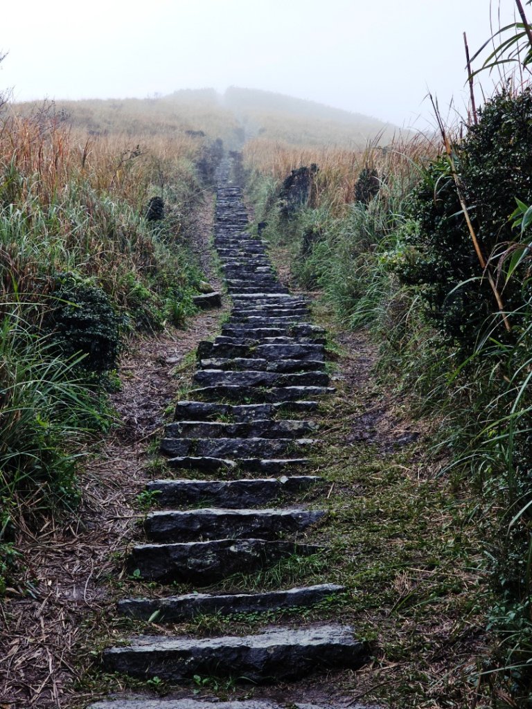 2025臺北大縱走第二段：二子坪至小油坑_2973504