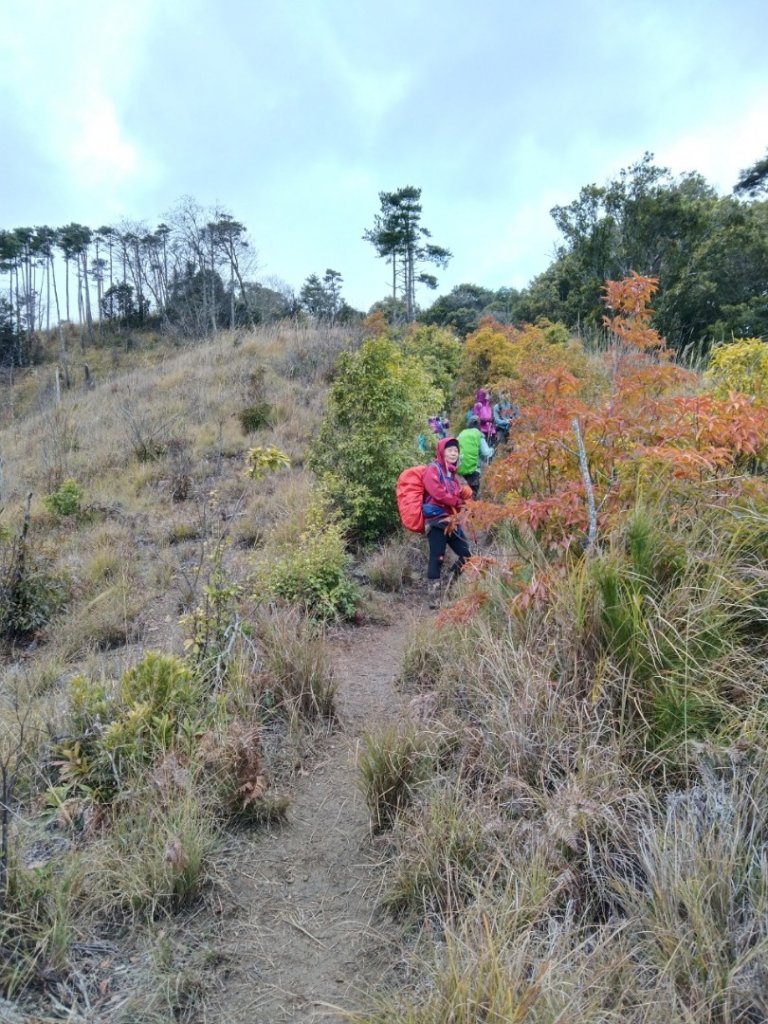 羅馬縱走20220123_1618102