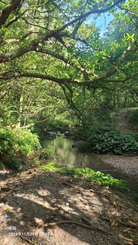 2024-1129 雙潭到外澳(坪溪古道)加太河山_2655944