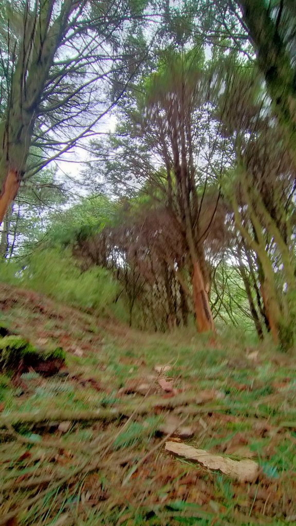 石水山 真鹿林山 鹿林天文台_1492550