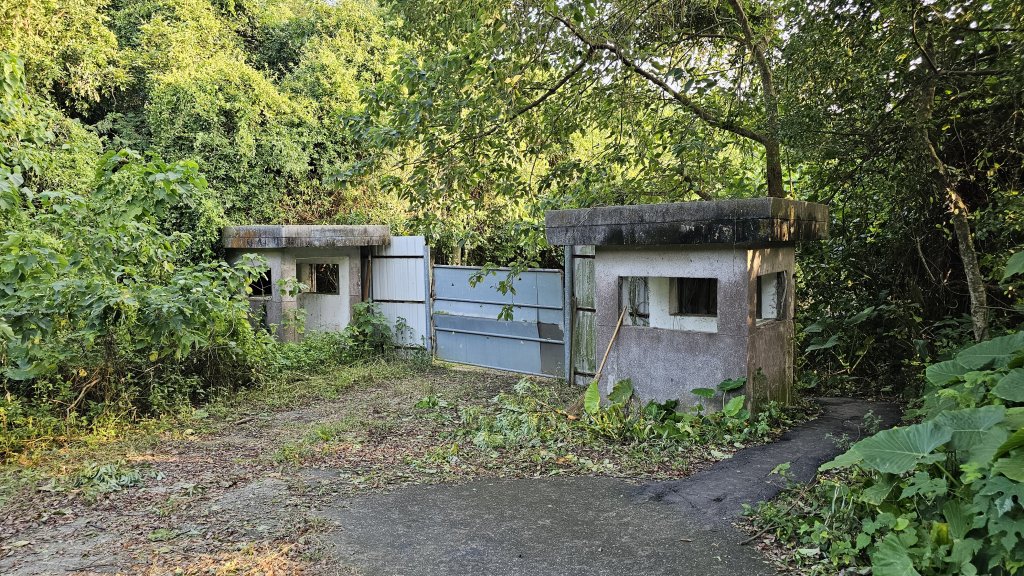 241102-小崗山+崗山之眼+彩虹嶺（皇帝椅）。美美兔閒來無事走一大圈9K。_2643284