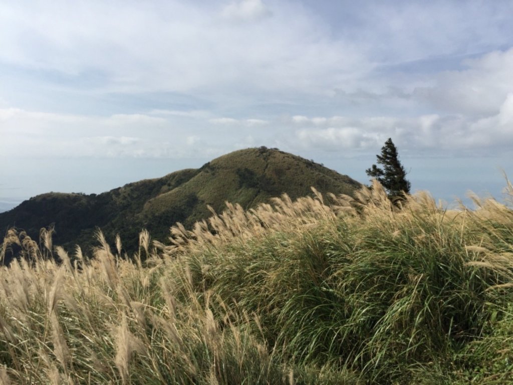 大屯山西峰 南峰 主峰20181204_483253