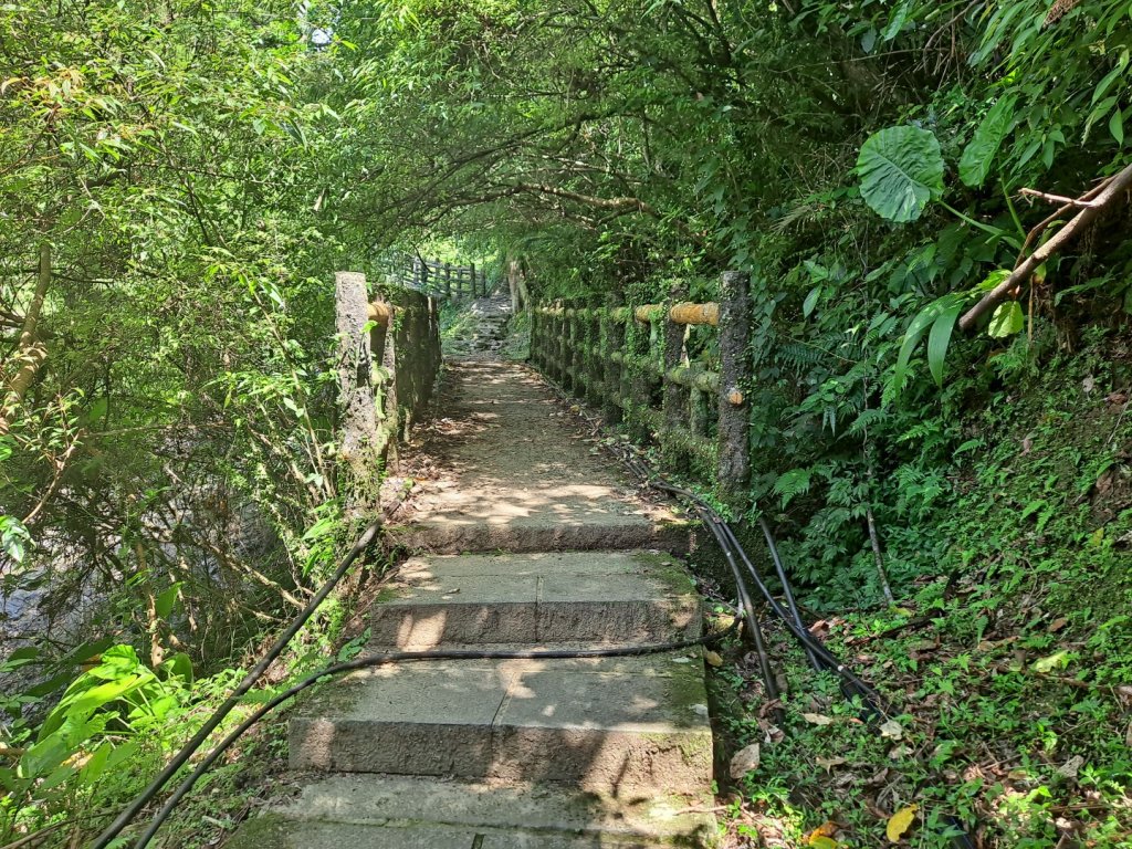 20230911淡蘭古道中段：五分山步道-暖東舊道_2446762