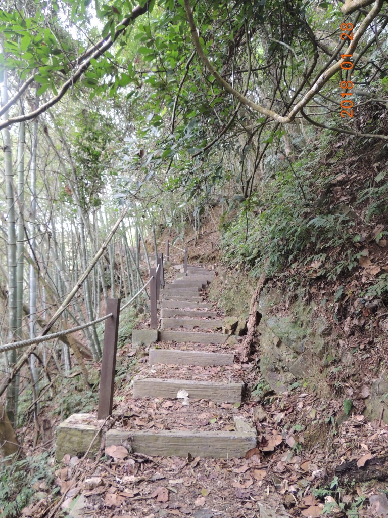 後尖山步道登後尖山_256872