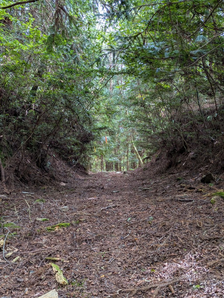 結界縱走三日(結城山、境界山、檜山)_2920865