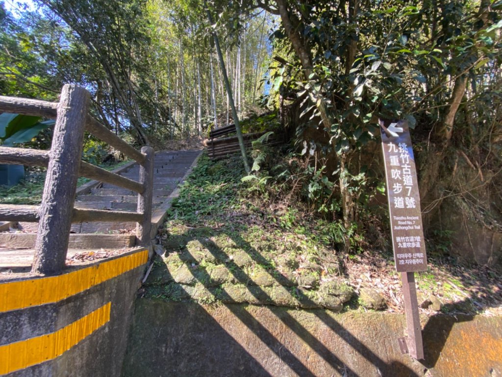 鹿谷大崙尾山、和雅挑竹古道7號、和雅挑竹古道6號O型走_2425933
