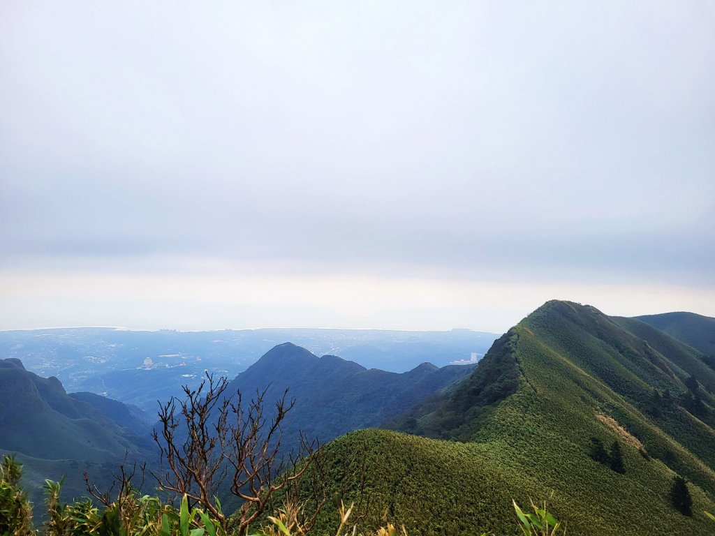 【台北抺茶山】小觀音山走春_2010708