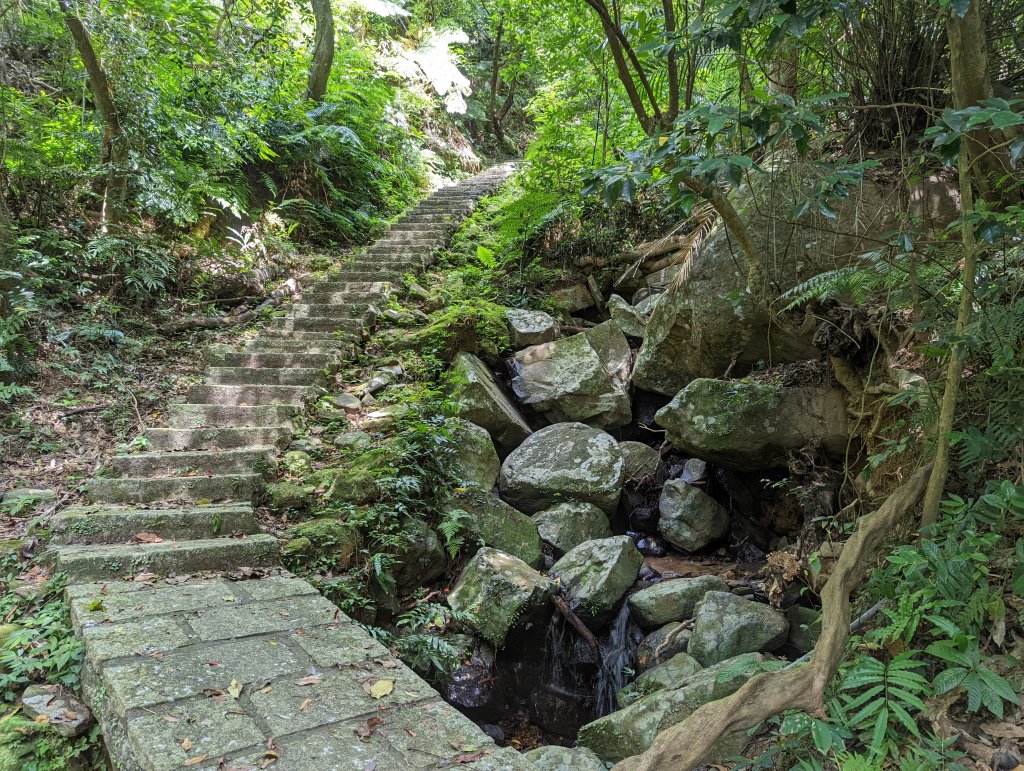 冷門的鵝尾山步道。熱門的坪頂古圳_1766052