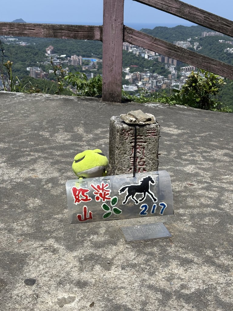 紅淡山封面圖