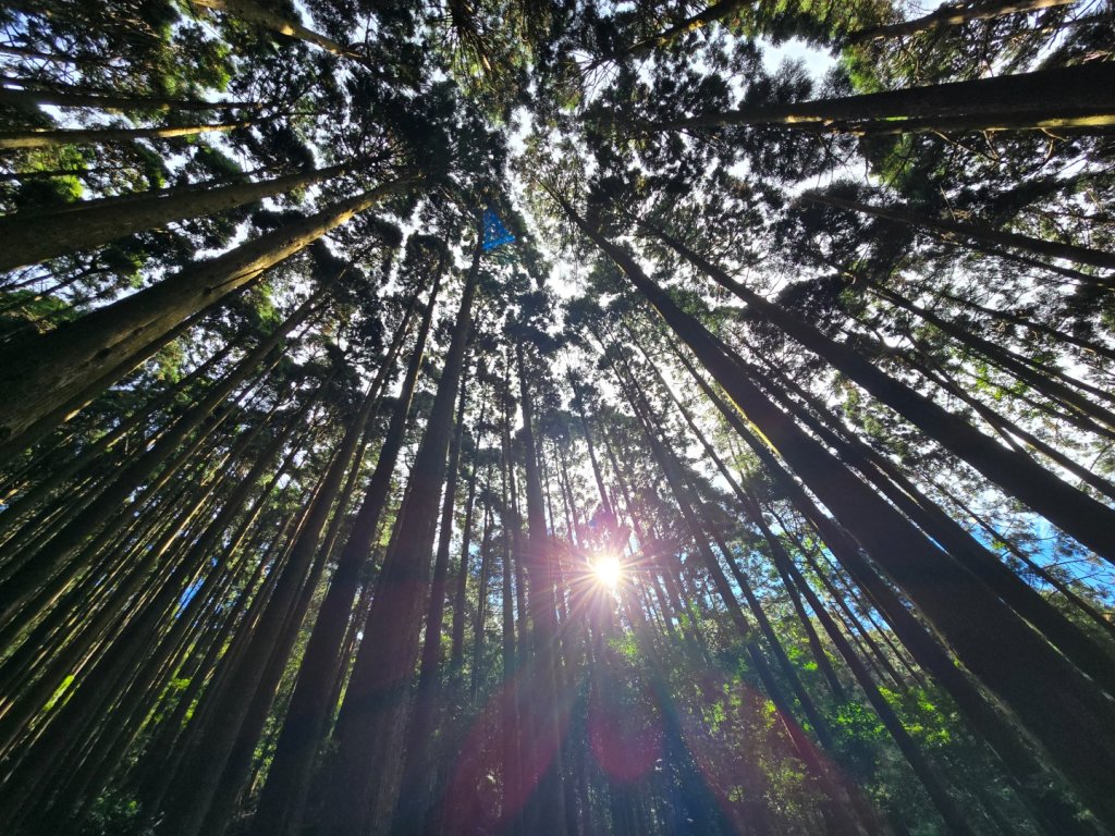 加里山（大坪登山口大O繞）_2955441