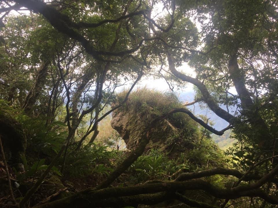 橫龍古道、騰雲駕霧、雲海處處、彩虹彎彎_1924706