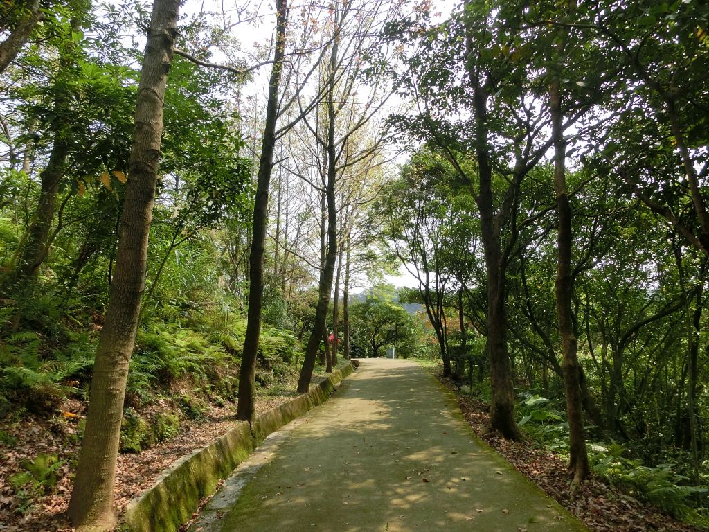 富陽生態公園．福州山_106552