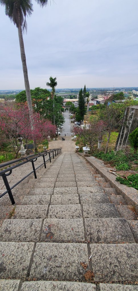 2023-02-25龍過脈森林步道_2042263