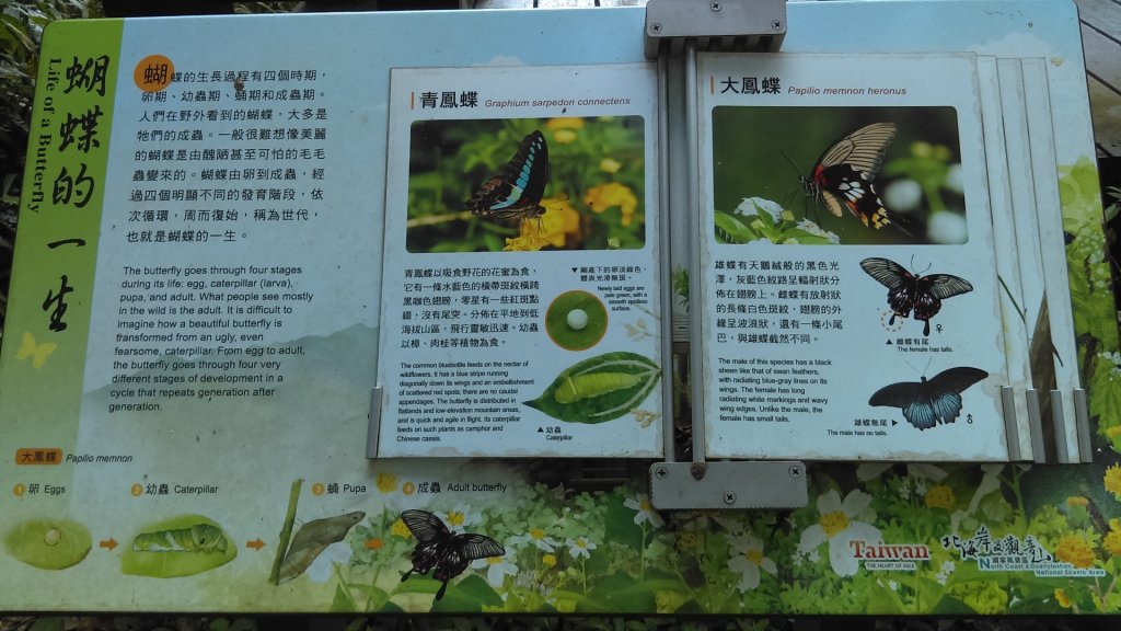 小百岳-硬漢嶺林梢牛寮埔楓櫃斗湖牛港稜山_1072101