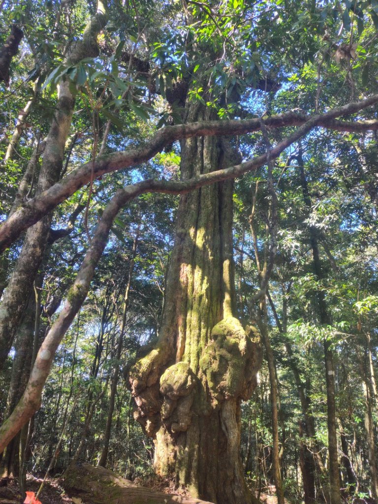 守關山南峰 守關山 守城大山_2919147