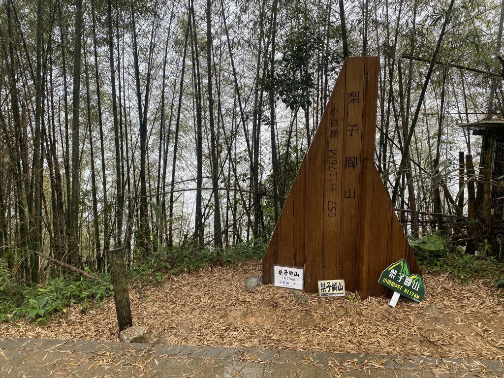 20240505梨子腳山步道_2498622