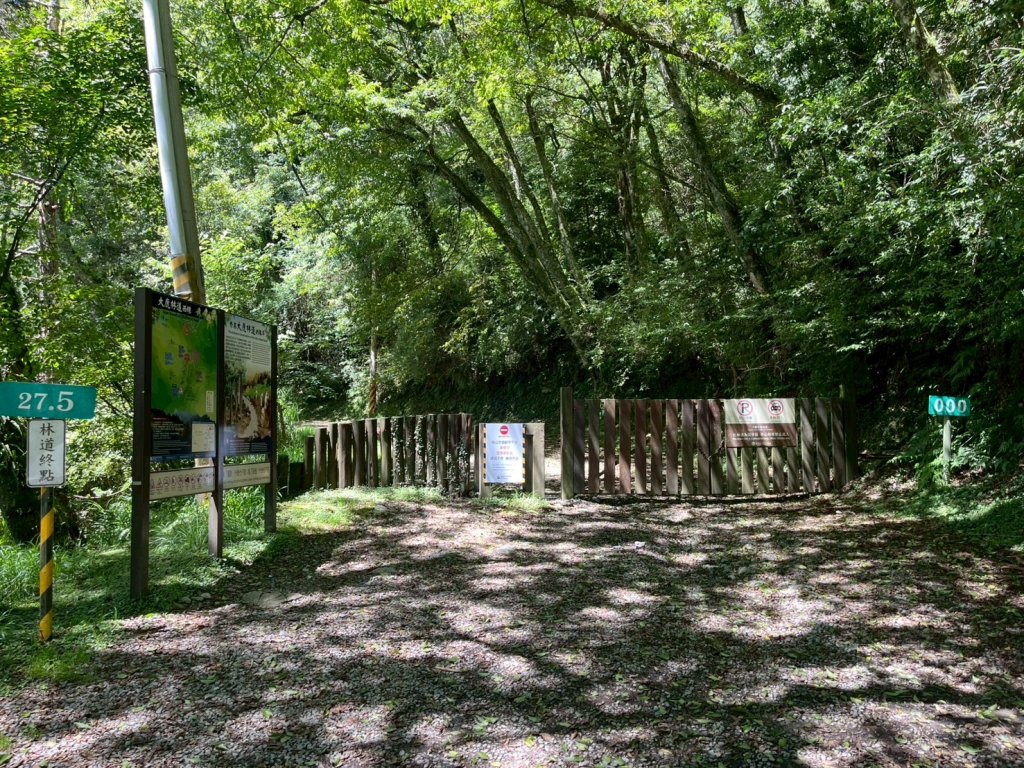 新竹 五峰 觀霧國家森林遊樂區 大鹿林道西線 榛山步道_2811373