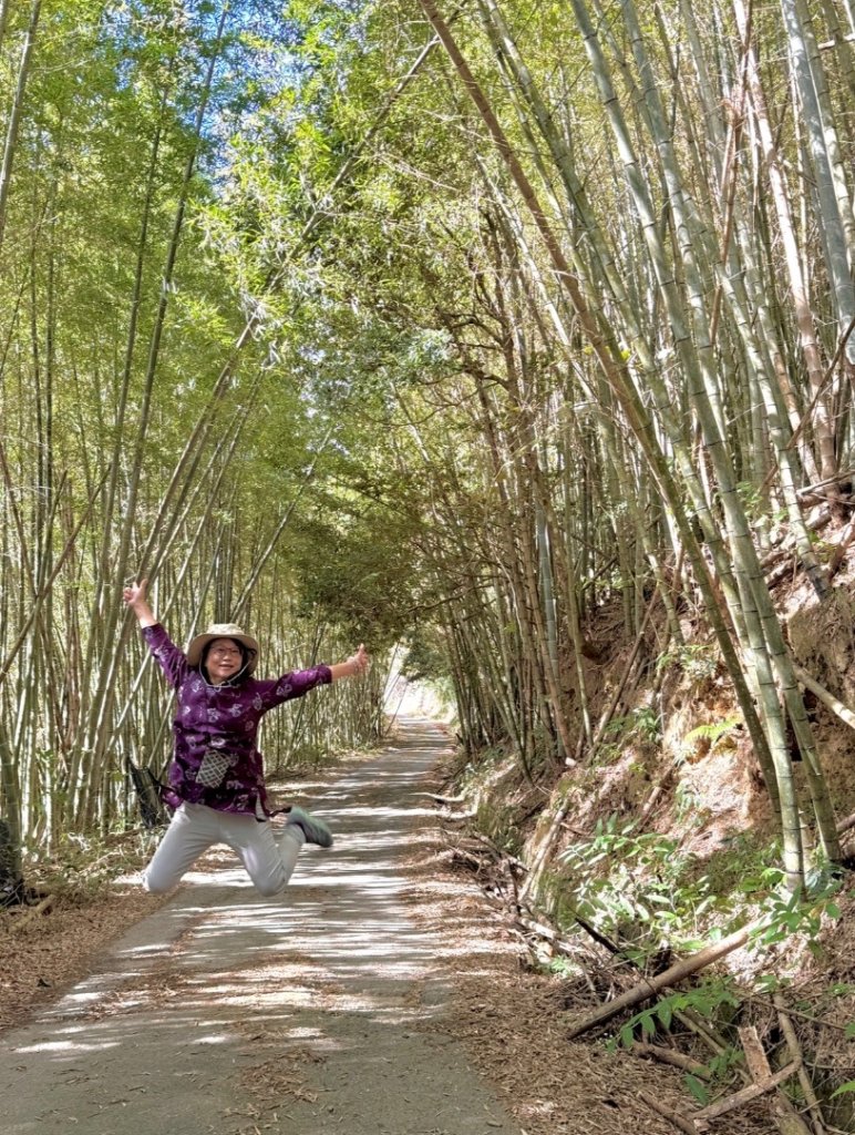 集集大山(小百岳#50）野店吃小吃_2972041