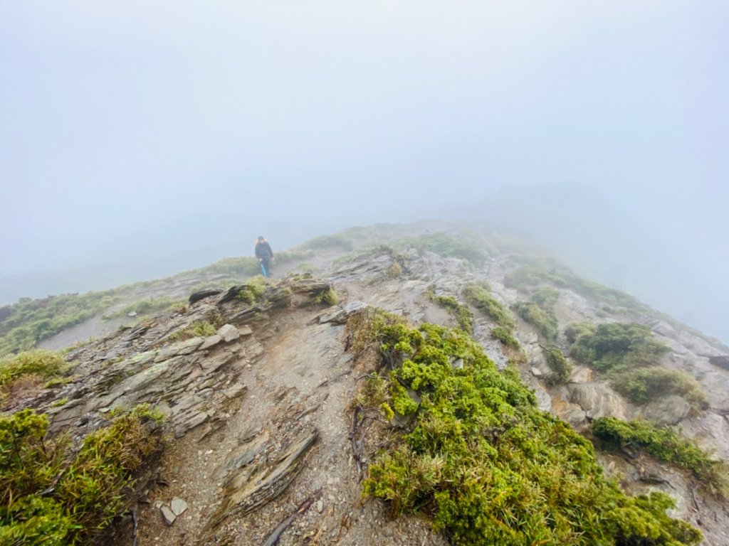 200523 二刷合歡北峰 雨天高山訓_975777