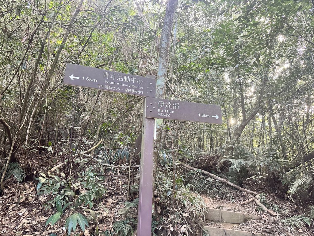 南投魚池-水社大山_2612567